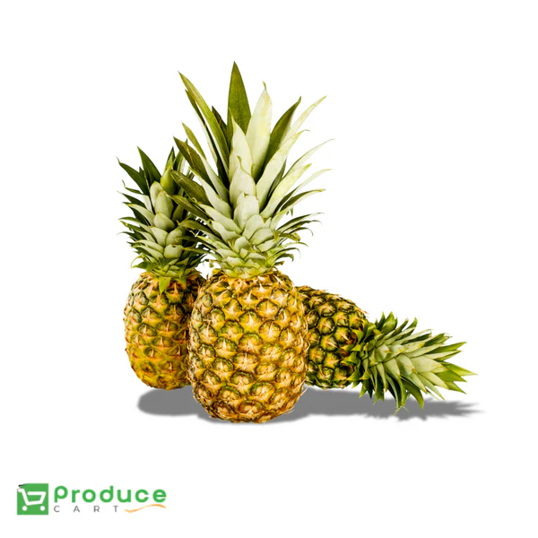 Product 9724652126504 Image