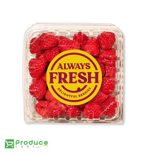 Product 9724652093736 Image