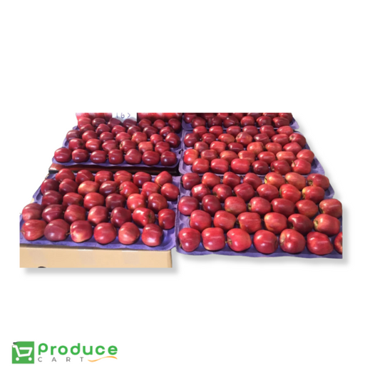 Product 9728027590952 Image