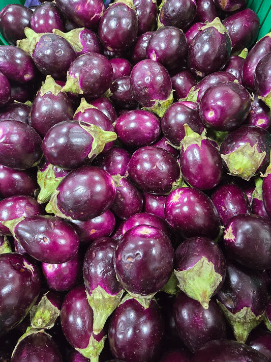 EGGPLANT - INDIAN