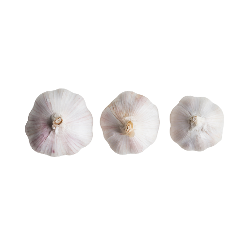 Garlic (3 PK)