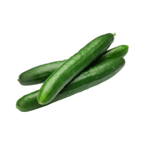 Cucumber Long English (EA)