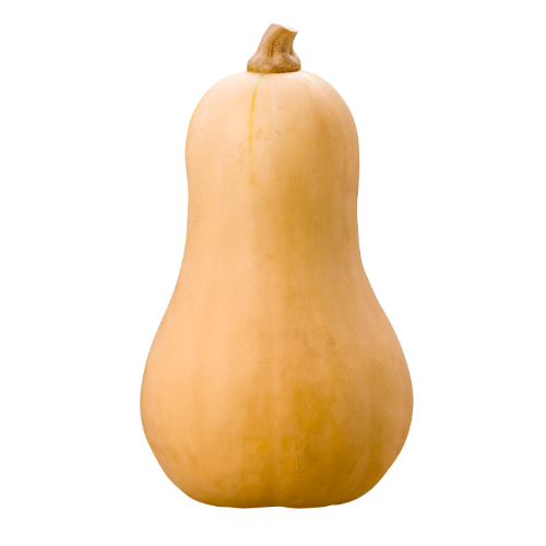 Butternut Squash (LB)