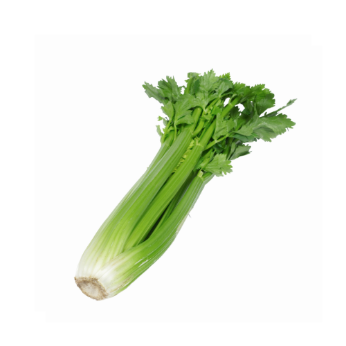 Celery (EA)