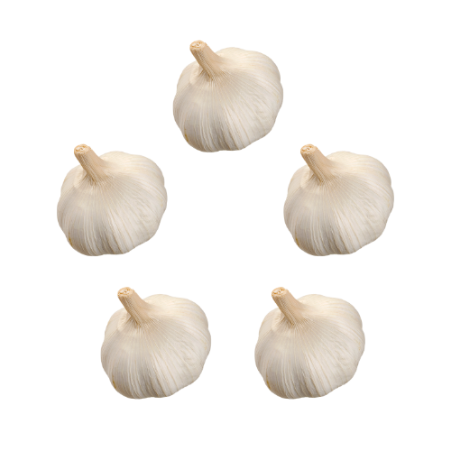 Garlic (5 PK)