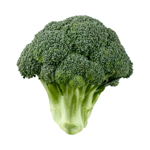 Broccoli (LB)