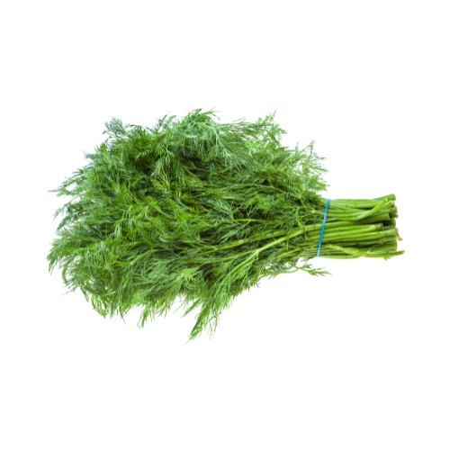 Dill (BUNCH)