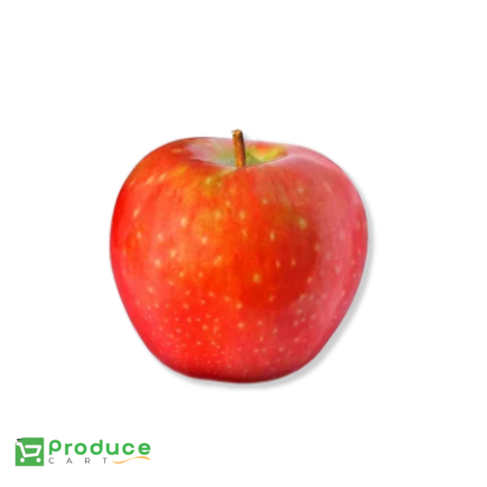 Product 9875446104360 Image