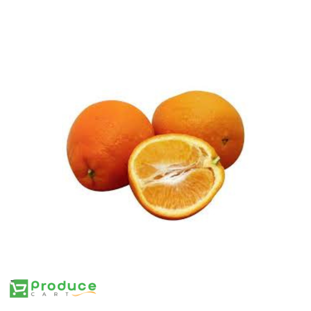 Product 10139737063720 Image